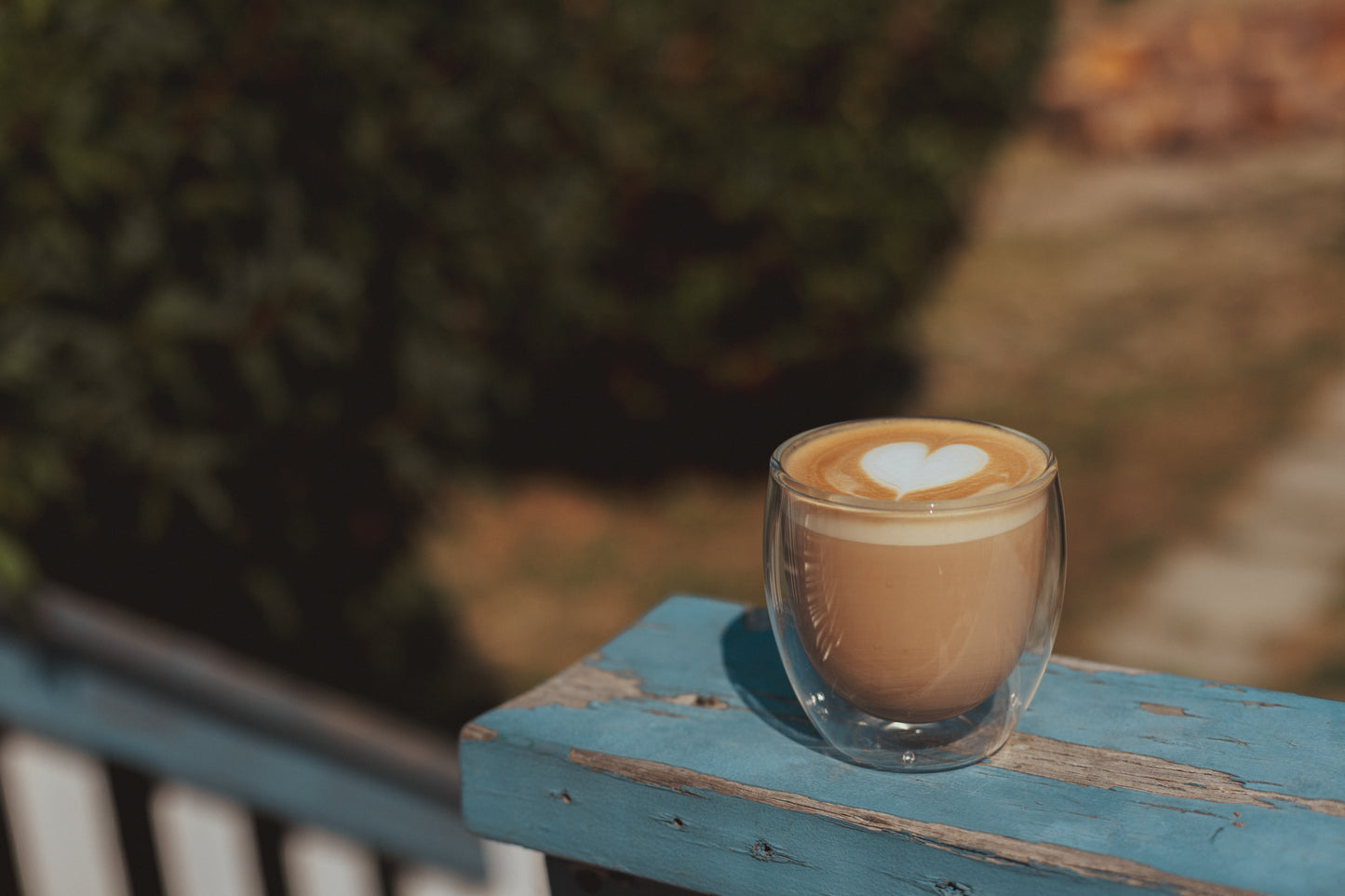Guatemala - Medium Dark Roast